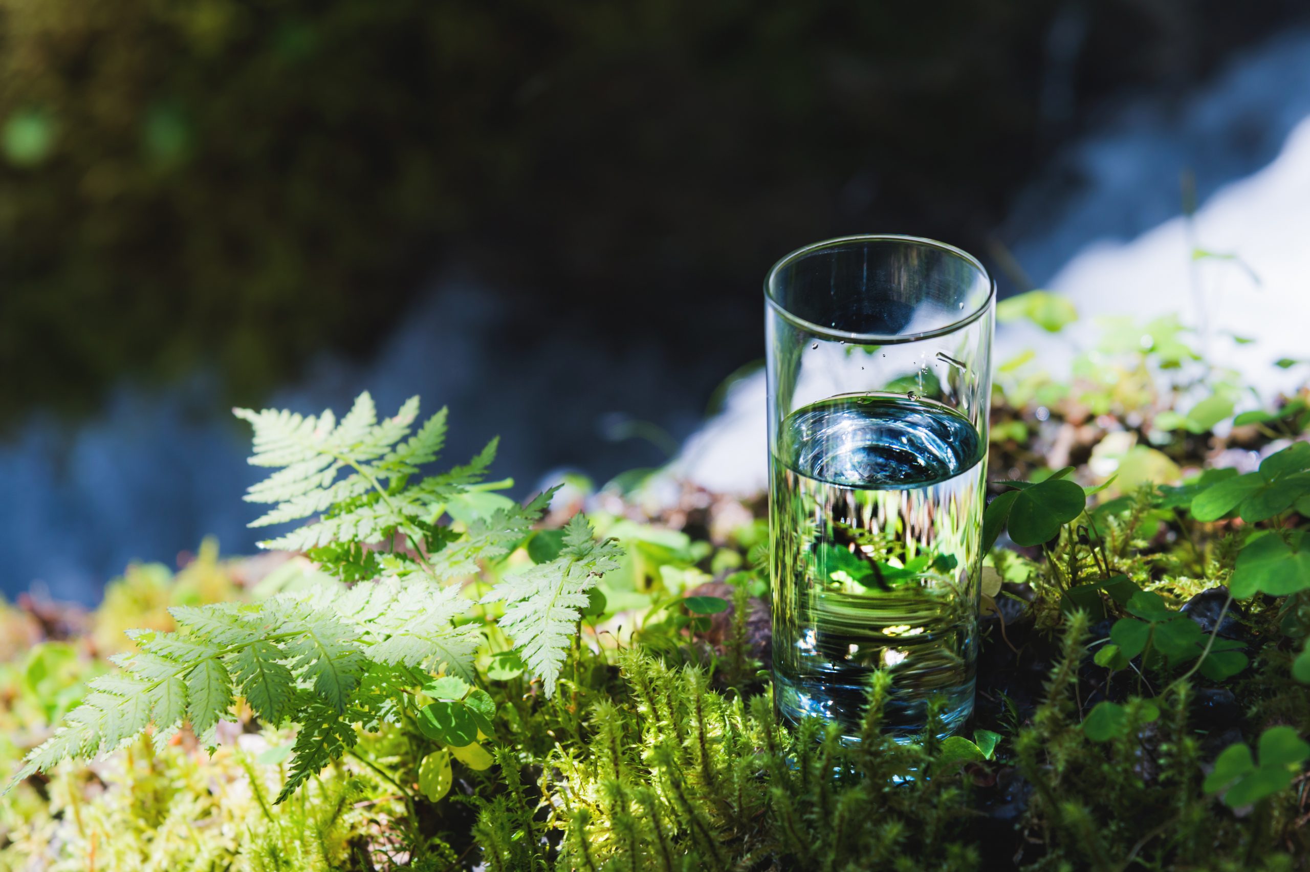 Clear water in a clear glass against a background of green moss with a mountain river in the background. Healthy food and environmentally friendly natural water.