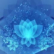 images images