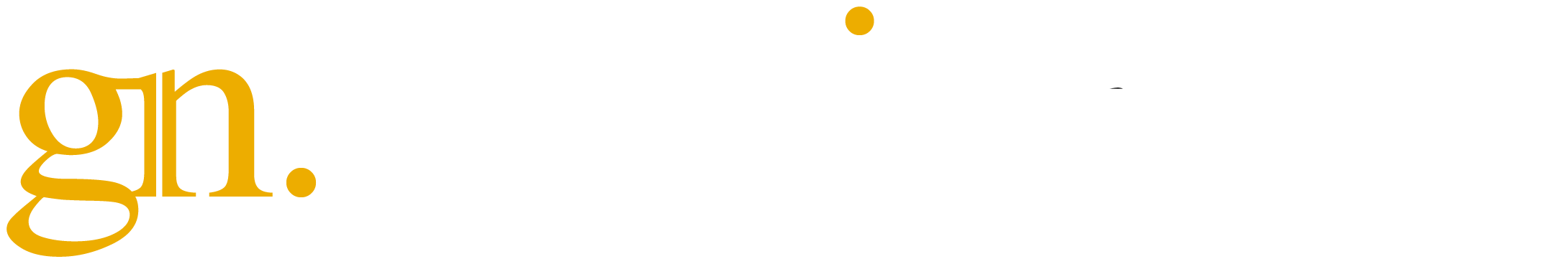 GN Media Group - Digital Marketing Agency For Local Business